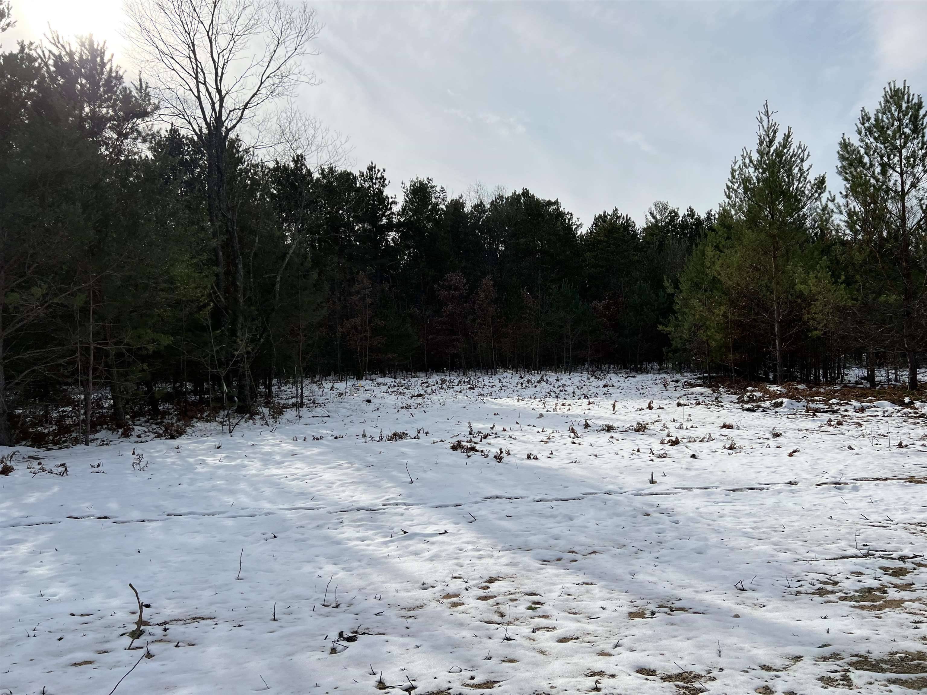 Rapid City, MI 49676,7980 NW Springwater