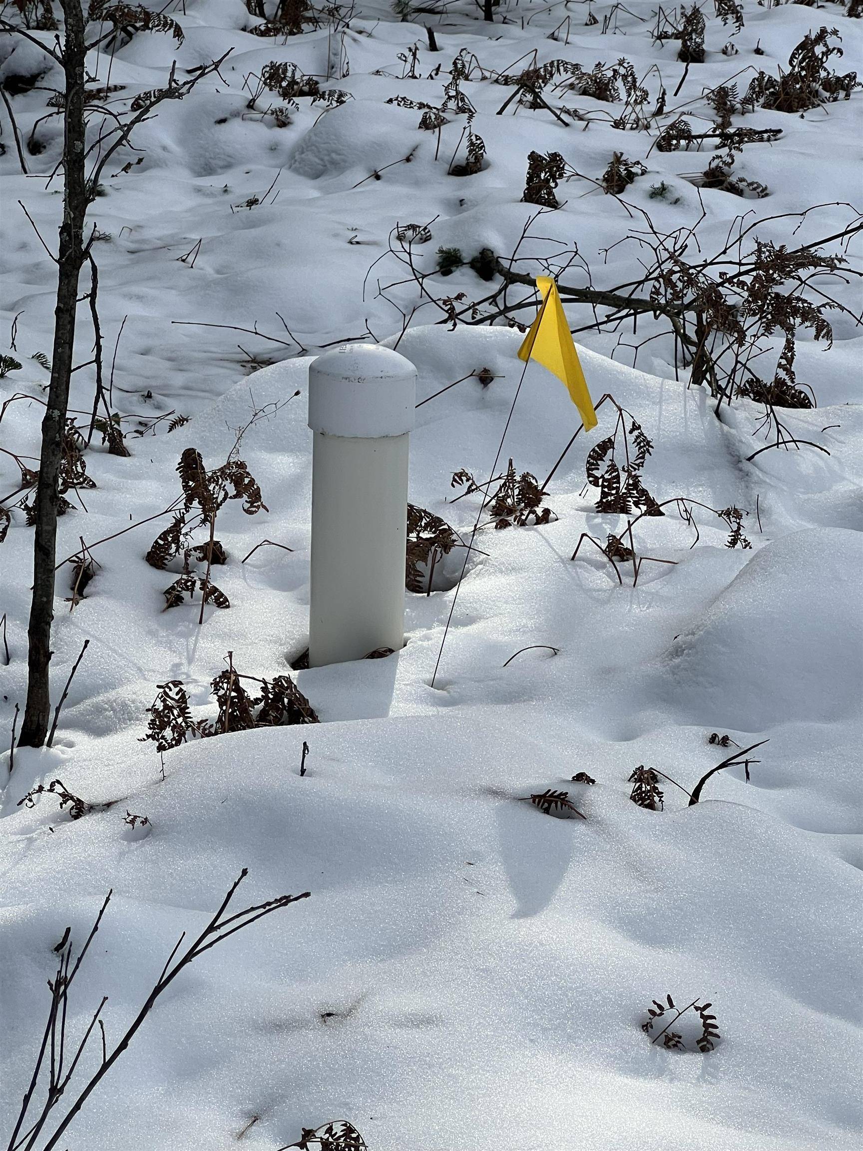 Rapid City, MI 49676,7980 NW Springwater