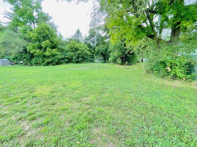 Lake Odessa, MI 48849,Lot 1 Ionia ST