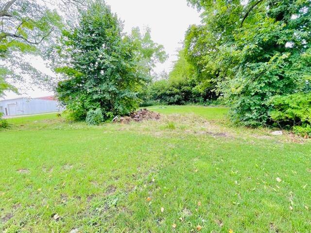 Lake Odessa, MI 48849,Lot 1 Ionia ST