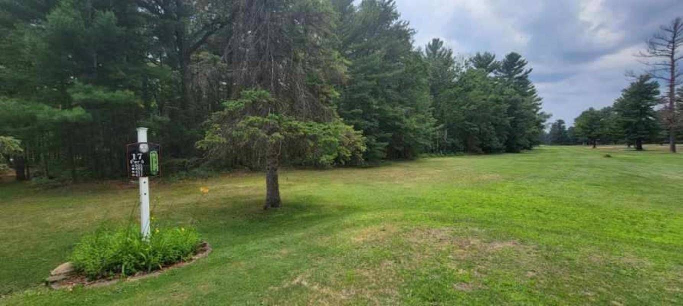 Prudenville, MI 48651,XXX White Deer TRL