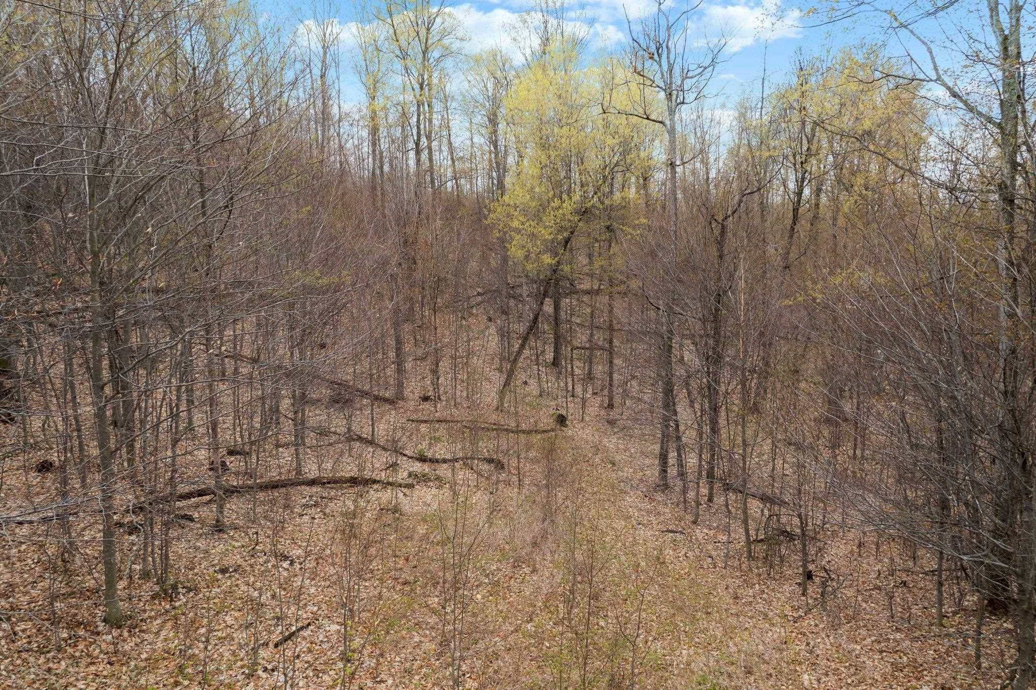 Rapid City, MI 49676,4796 NW Hill