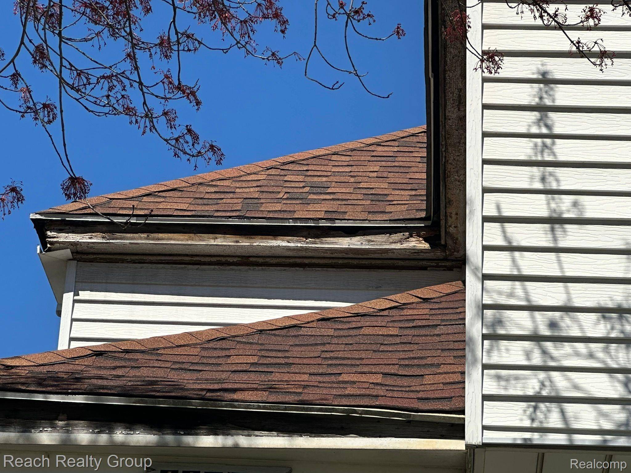 Detroit, MI 48224,11581 ROSSITER ST