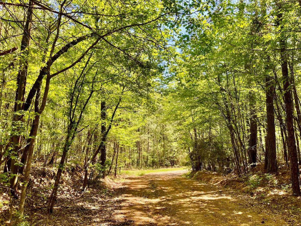 Minden, LA 71055,889 Fuller Cemetery E-4 Road