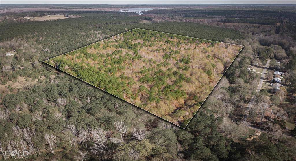 Vivian, LA 71082,0 Camelia Street