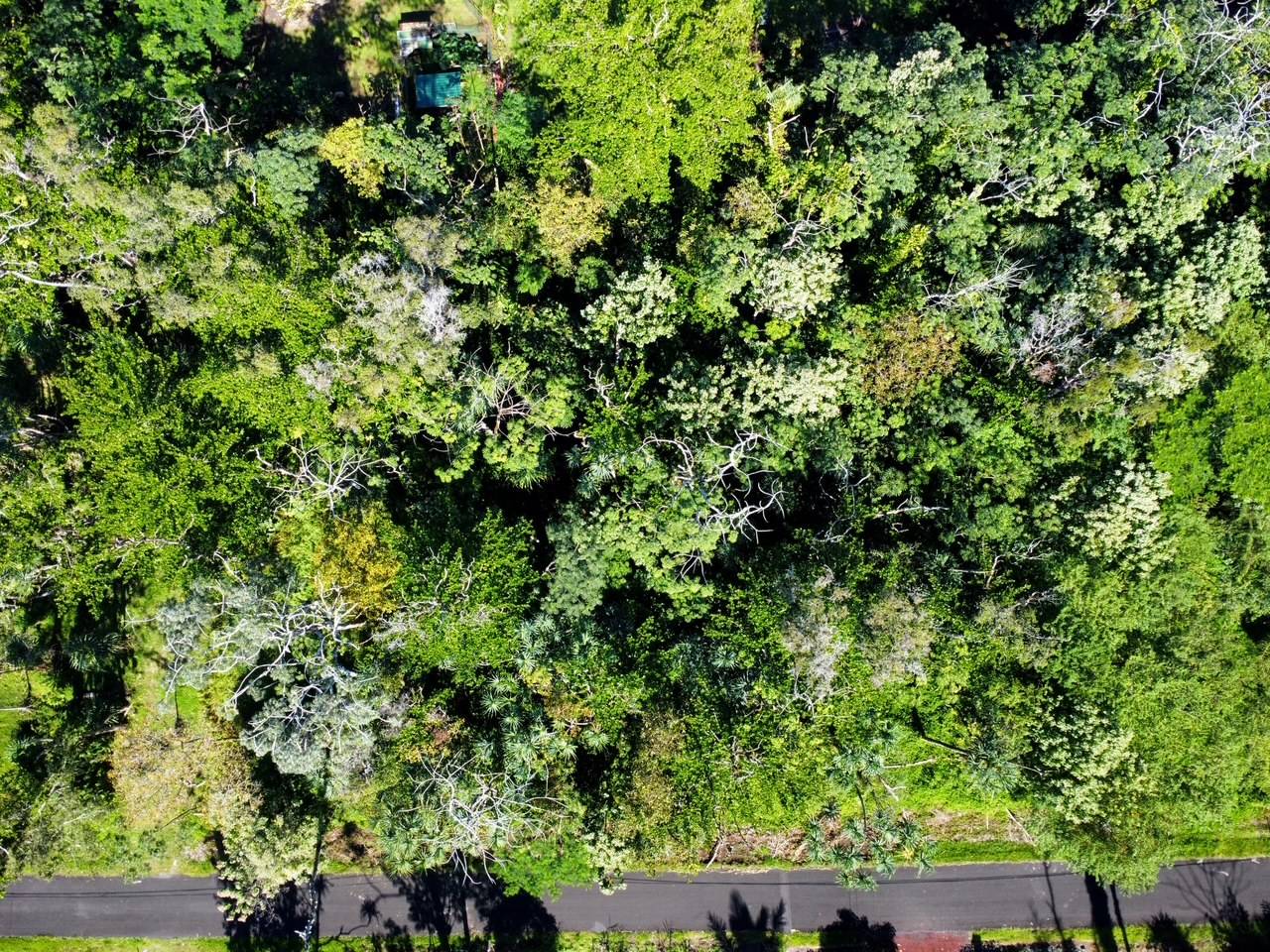 Pahoa, HI 96778,OOPU ST