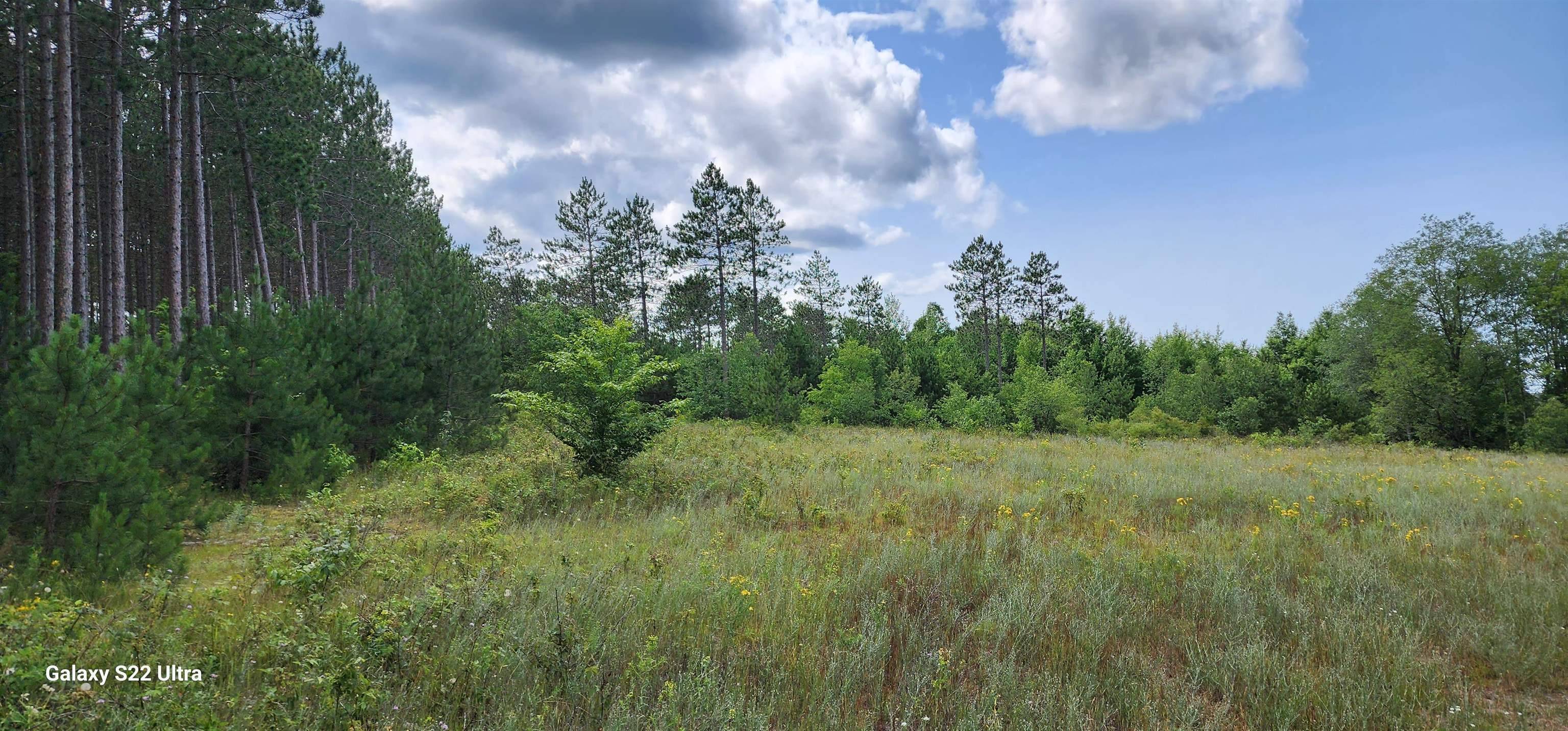 Rapid City, MI 49676,616 NW Sky