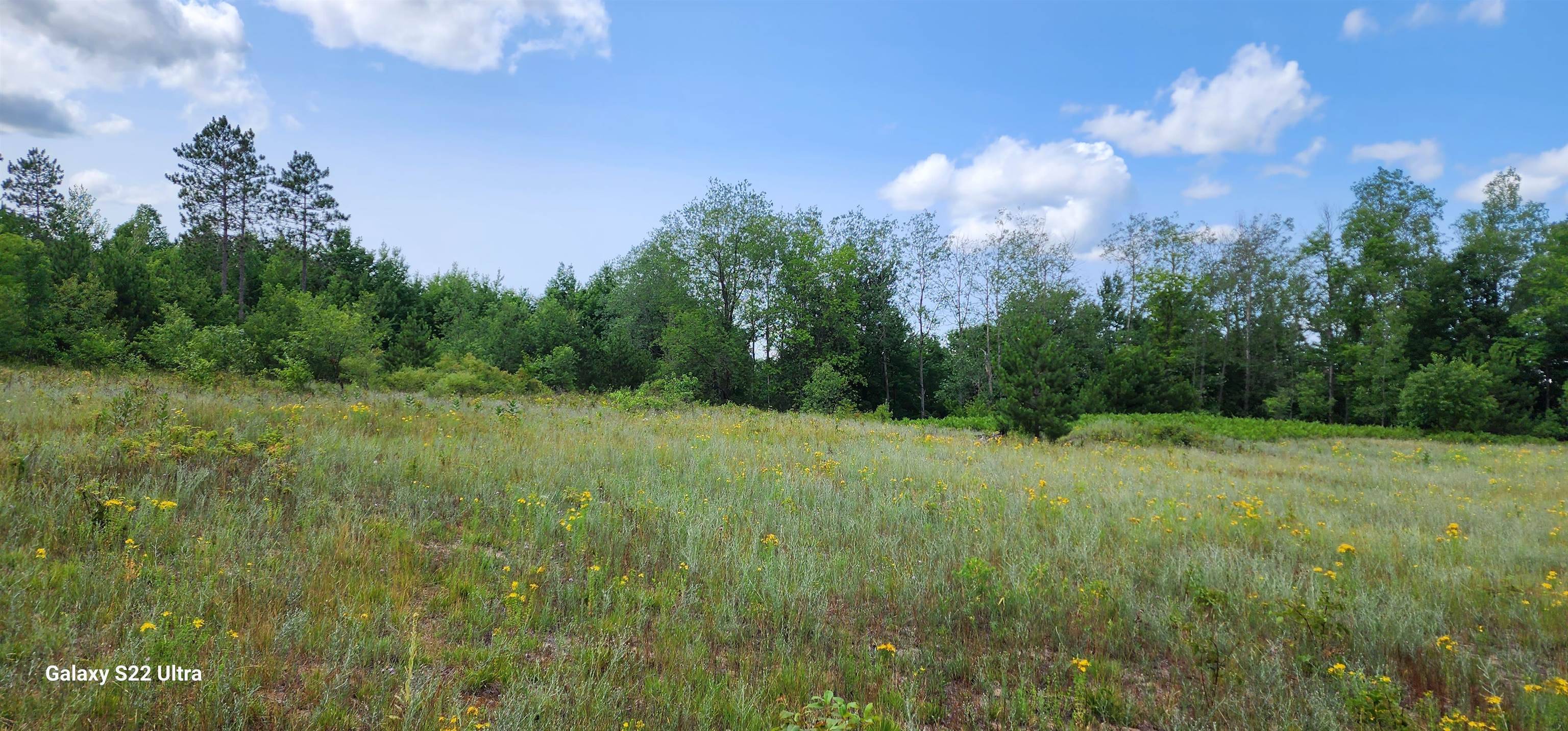 Rapid City, MI 49676,616 NW Sky