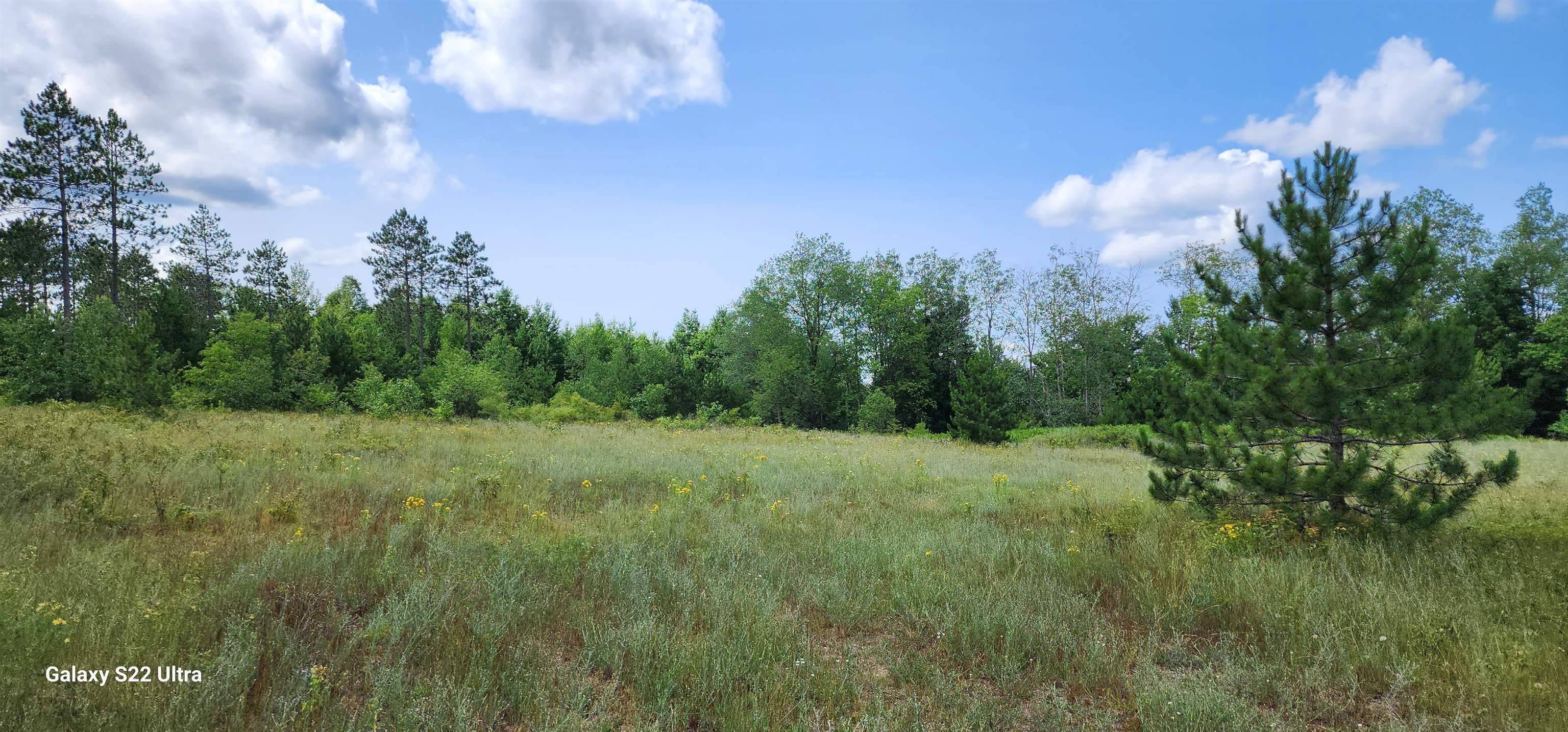 Rapid City, MI 49676,616 NW Sky