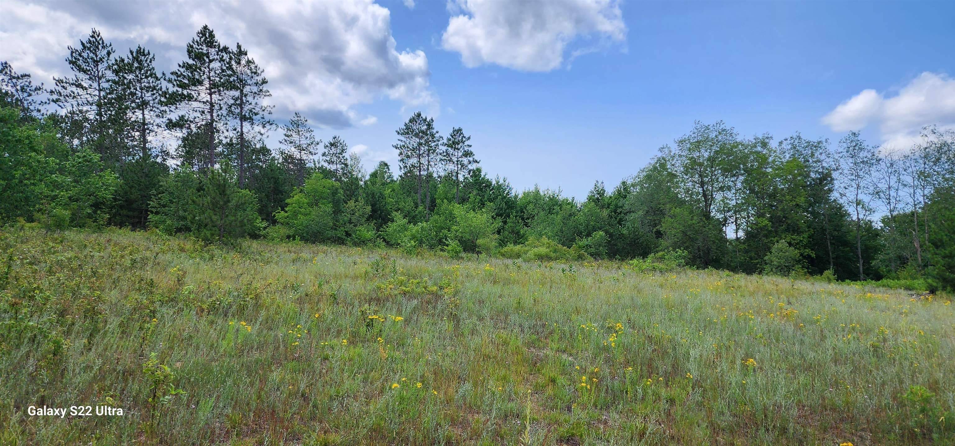 Rapid City, MI 49676,616 NW Sky