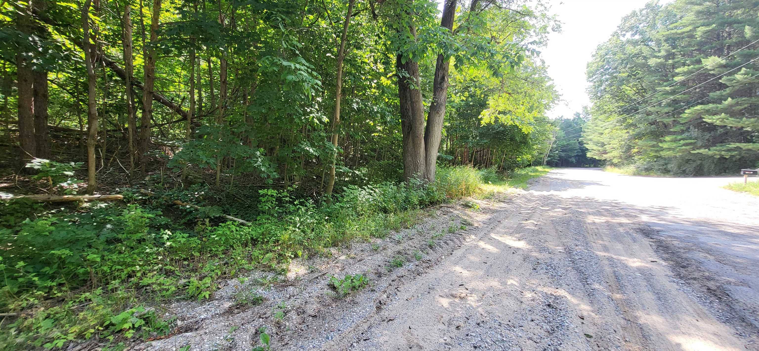 Rapid City, MI 49676,TBD NW Zimmerman