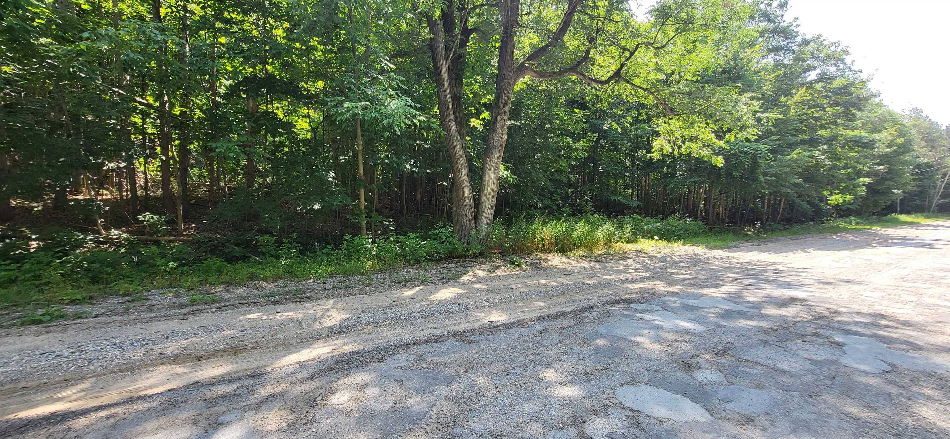 Rapid City, MI 49676,TBD NW Zimmerman