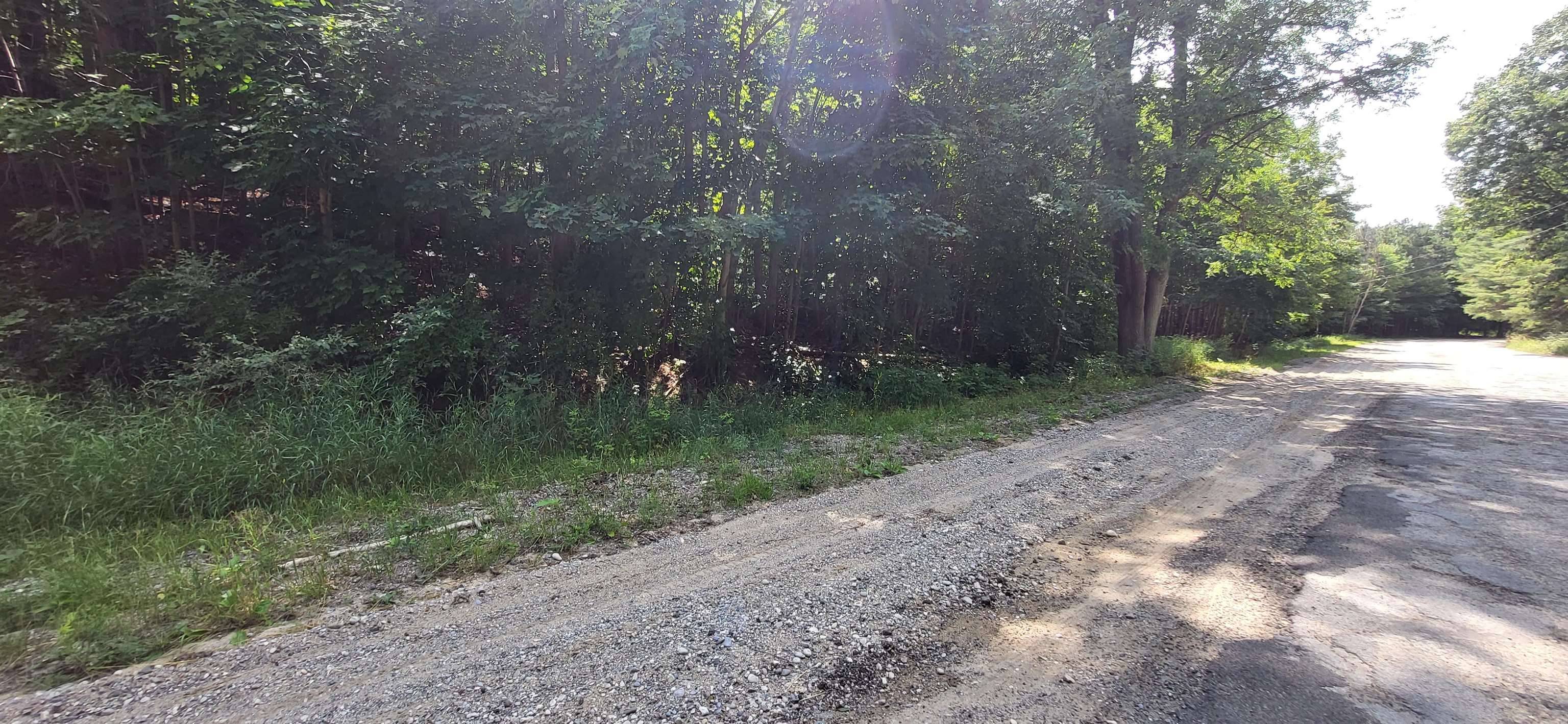 Rapid City, MI 49676,TBD NW Zimmerman