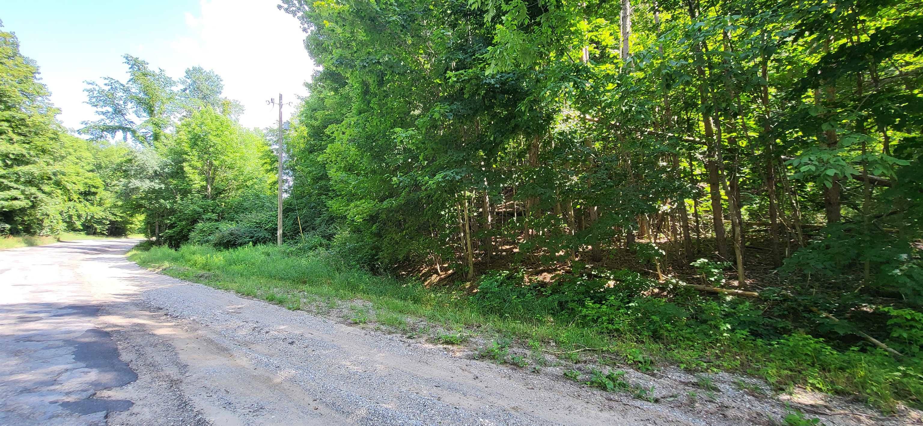 Rapid City, MI 49676,TBD NW Zimmerman