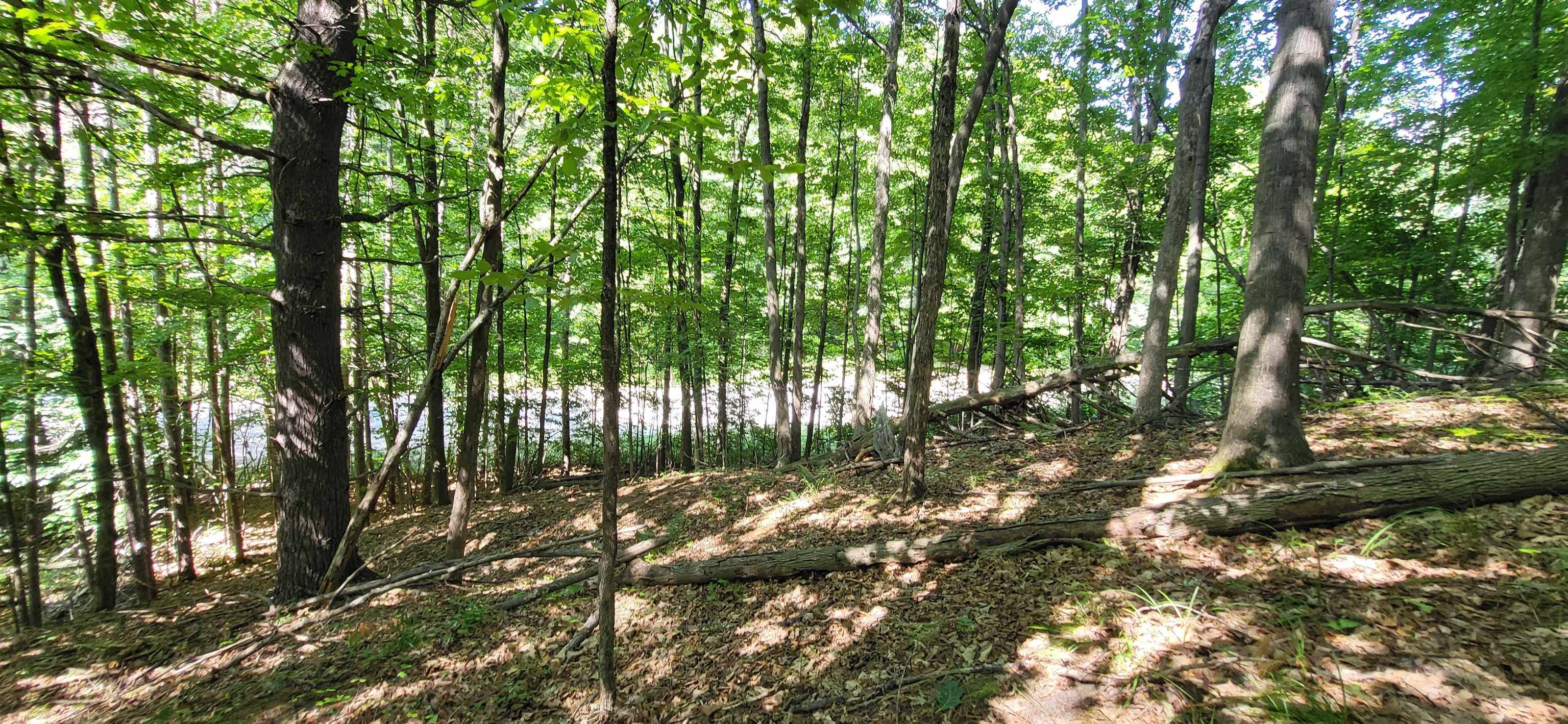 Rapid City, MI 49676,TBD NW Zimmerman