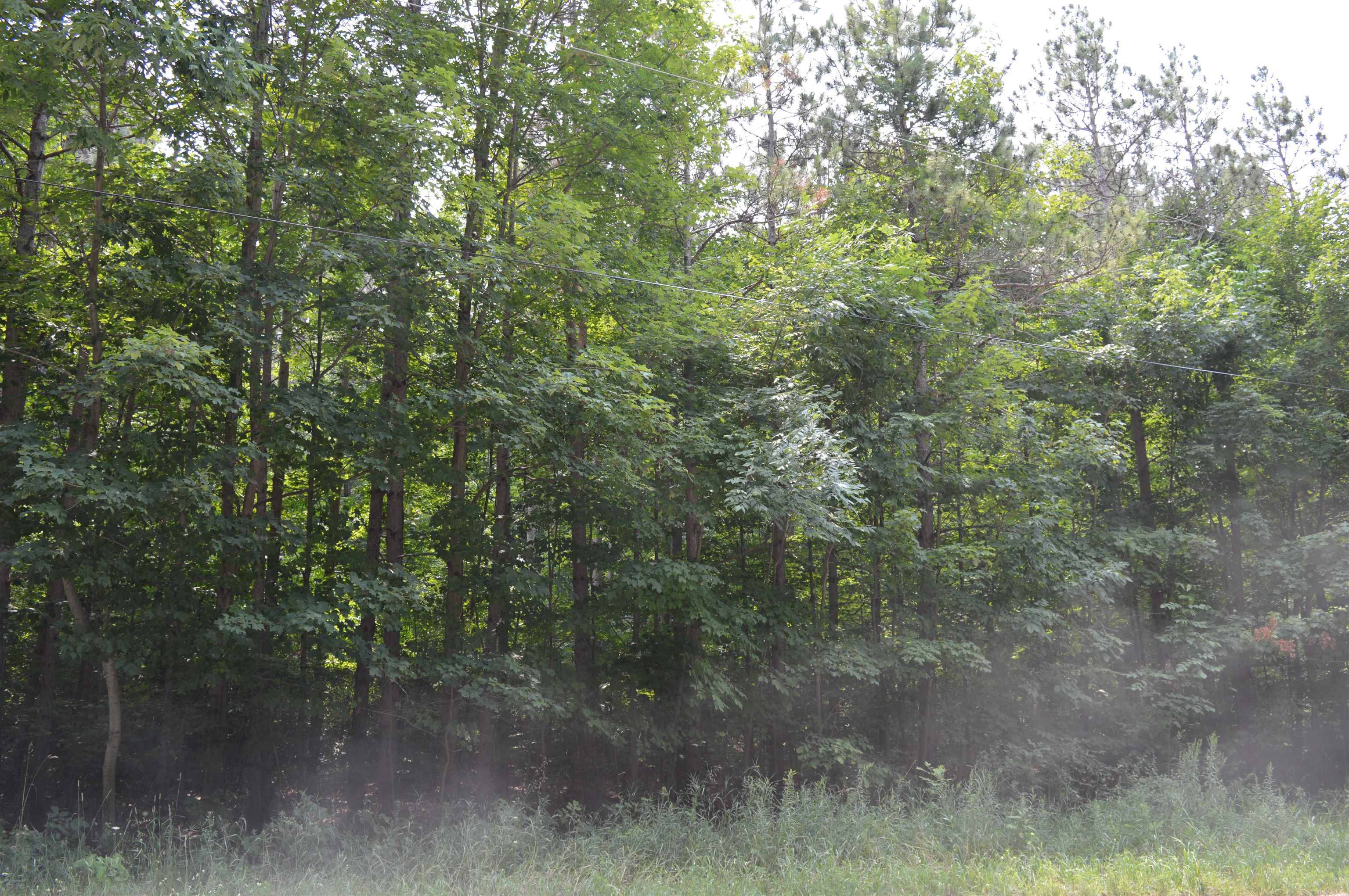 Rapid City, MI 49676,5099 NW Zimmerman