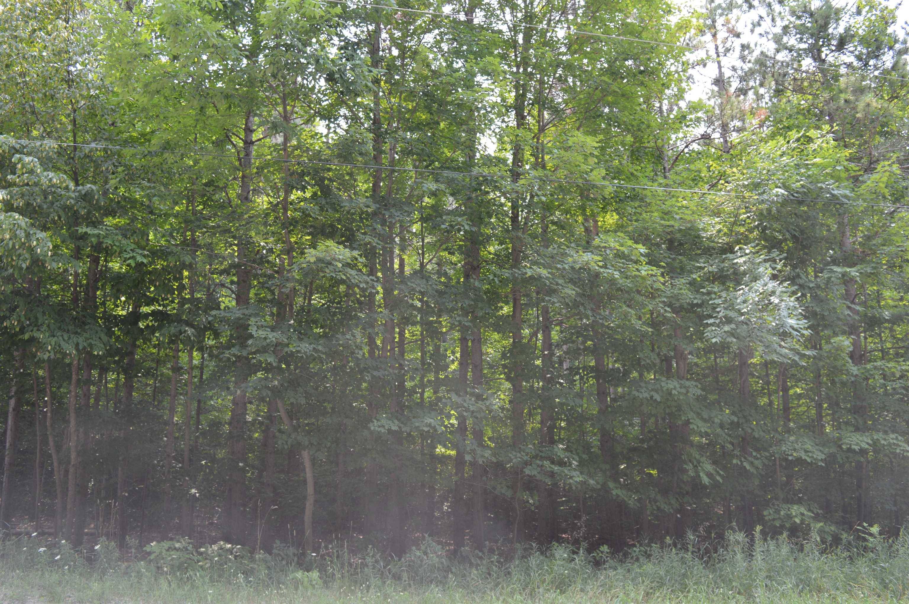 Rapid City, MI 49676,5099 NW Zimmerman