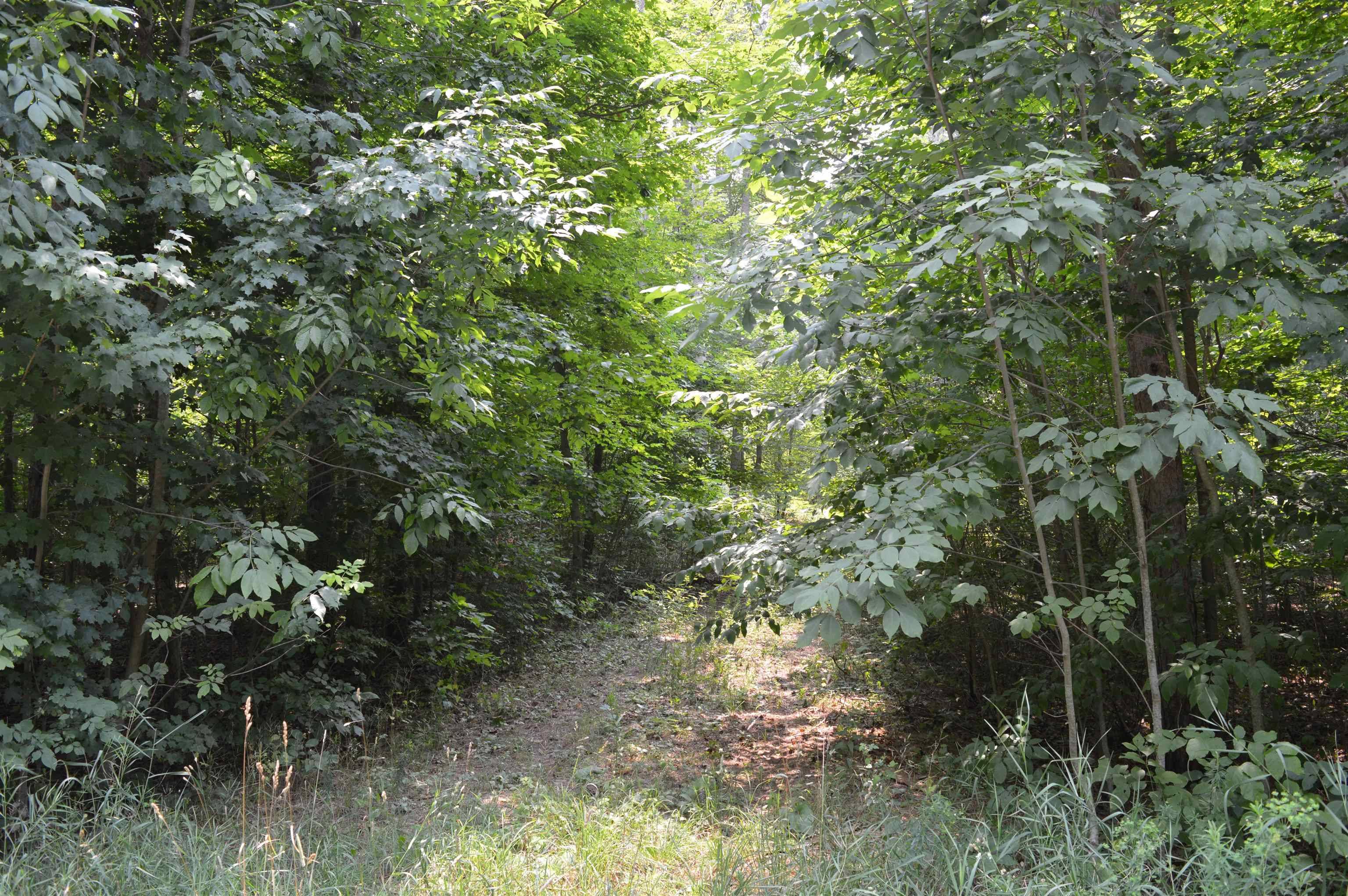 Rapid City, MI 49676,5099 NW Zimmerman