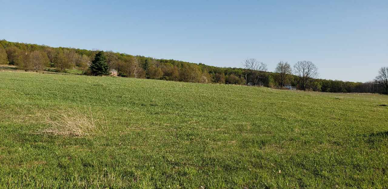 Alden, MI 49612,Lot 42 Alden MDWS