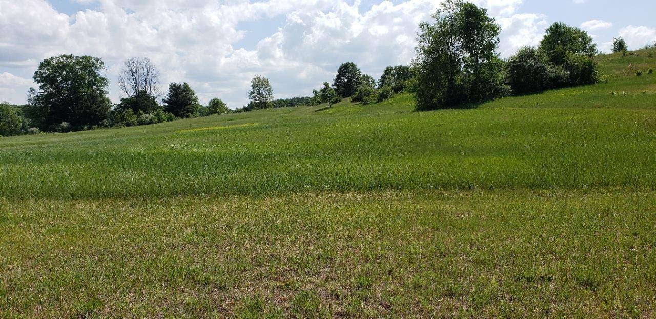 Alden, MI 49612,Lot 38 Alden MDWS