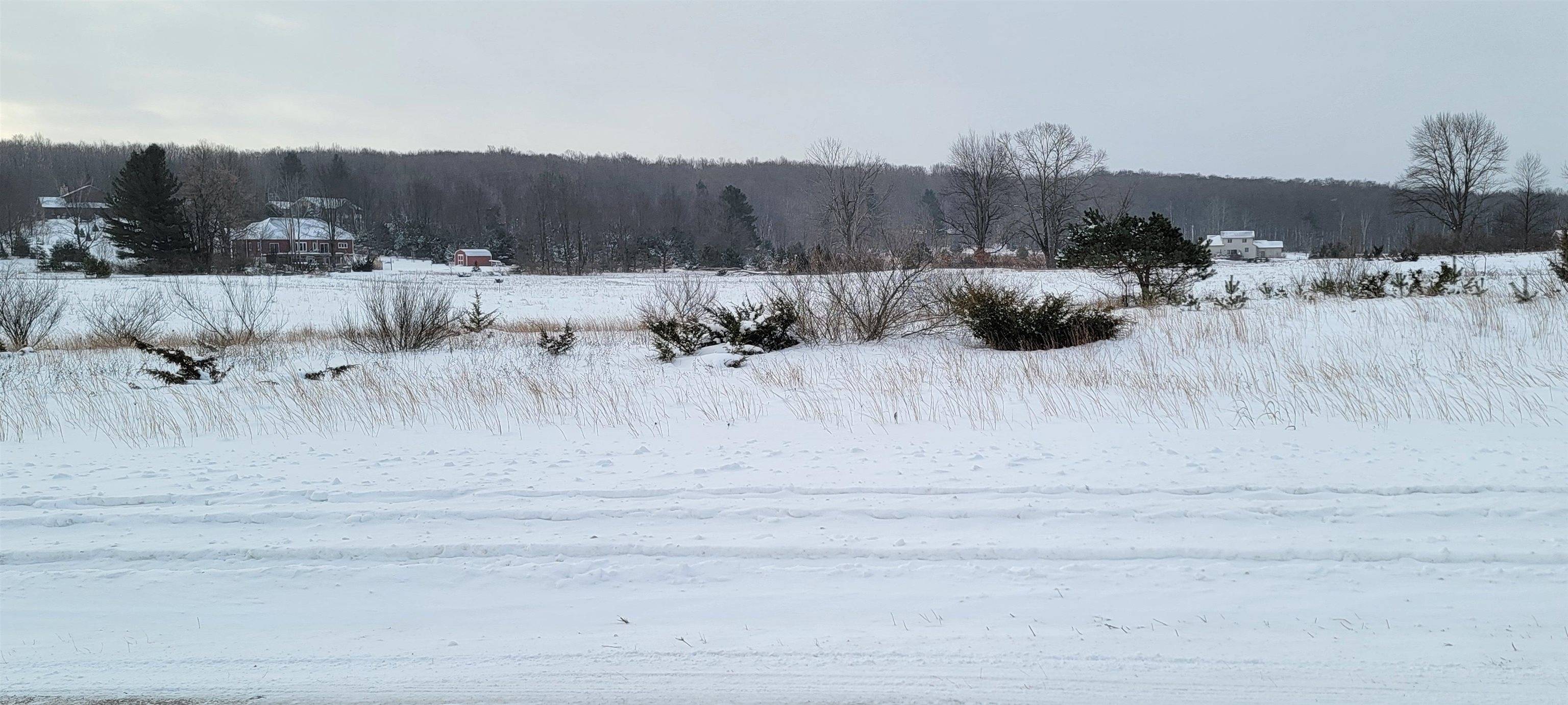 Alden, MI 49612,LOT 44 Alden MDWS