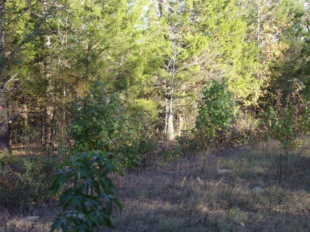 Murchison, TX 75778,000 Woodcreek Drive