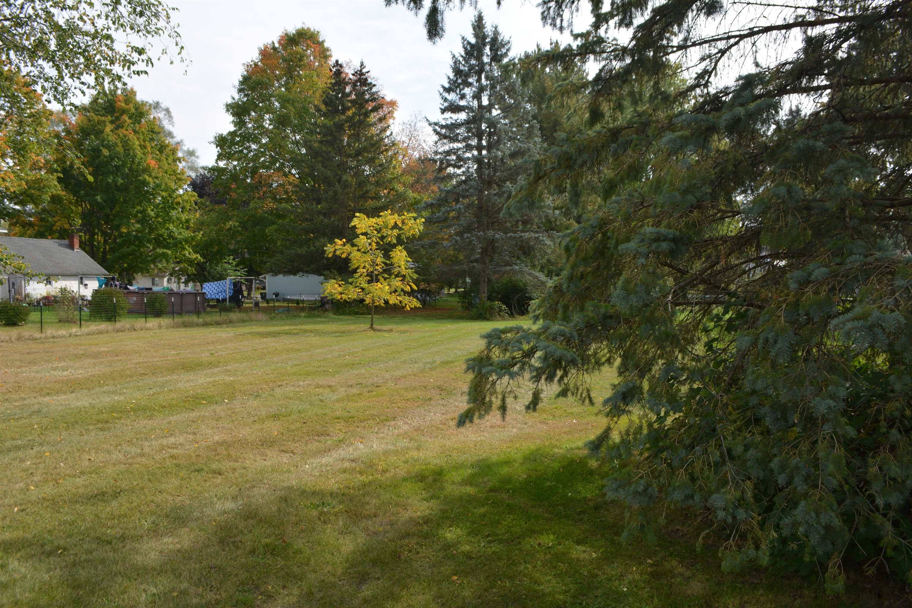 Mount Pleasant, MI 48858,TBD E Pickard RD