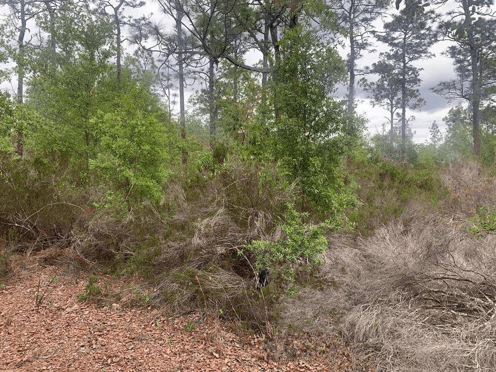 Interlachen, FL 32148,0 Somerset Ave