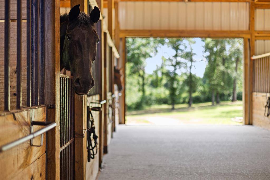 Tyler, TX 75703,21384 County Road 116