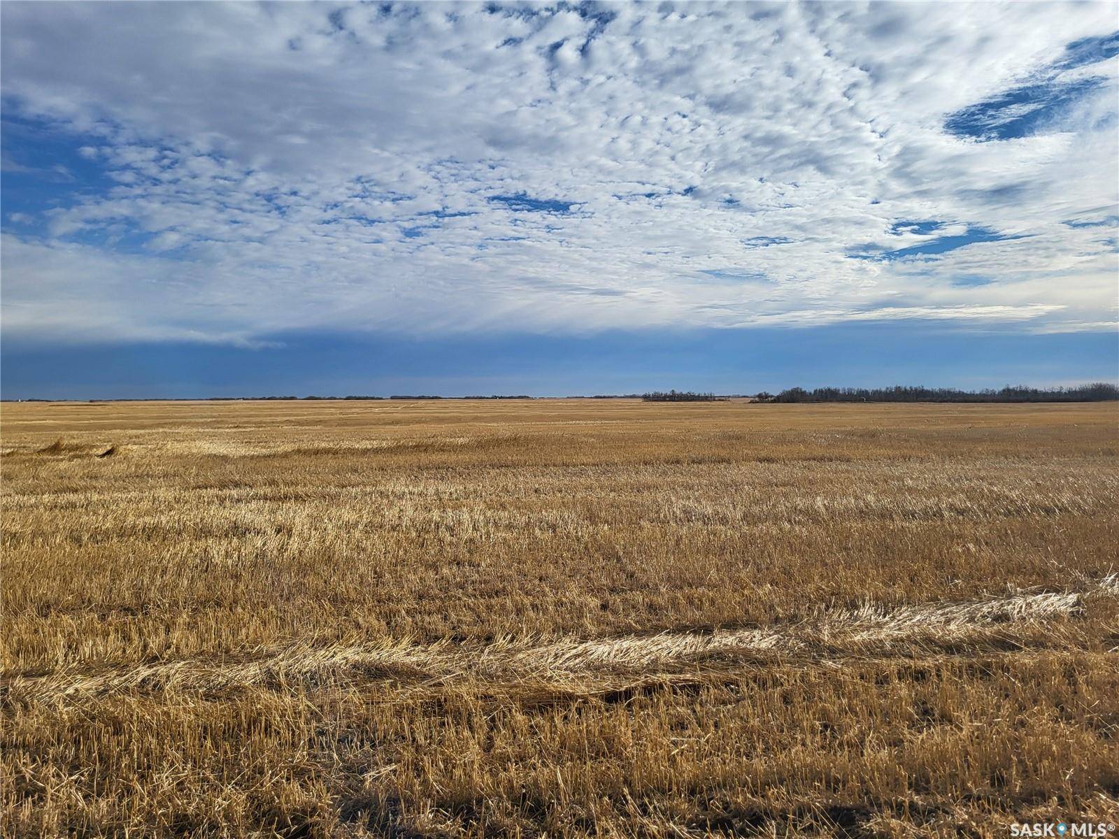 Corman Park Rm No. 344, SK S0K 2L0,Rural Address