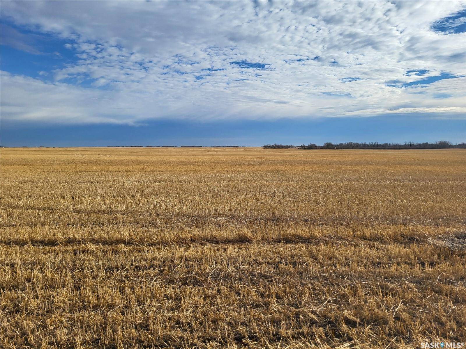 Corman Park Rm No. 344, SK S0K 2L0,Rural Address