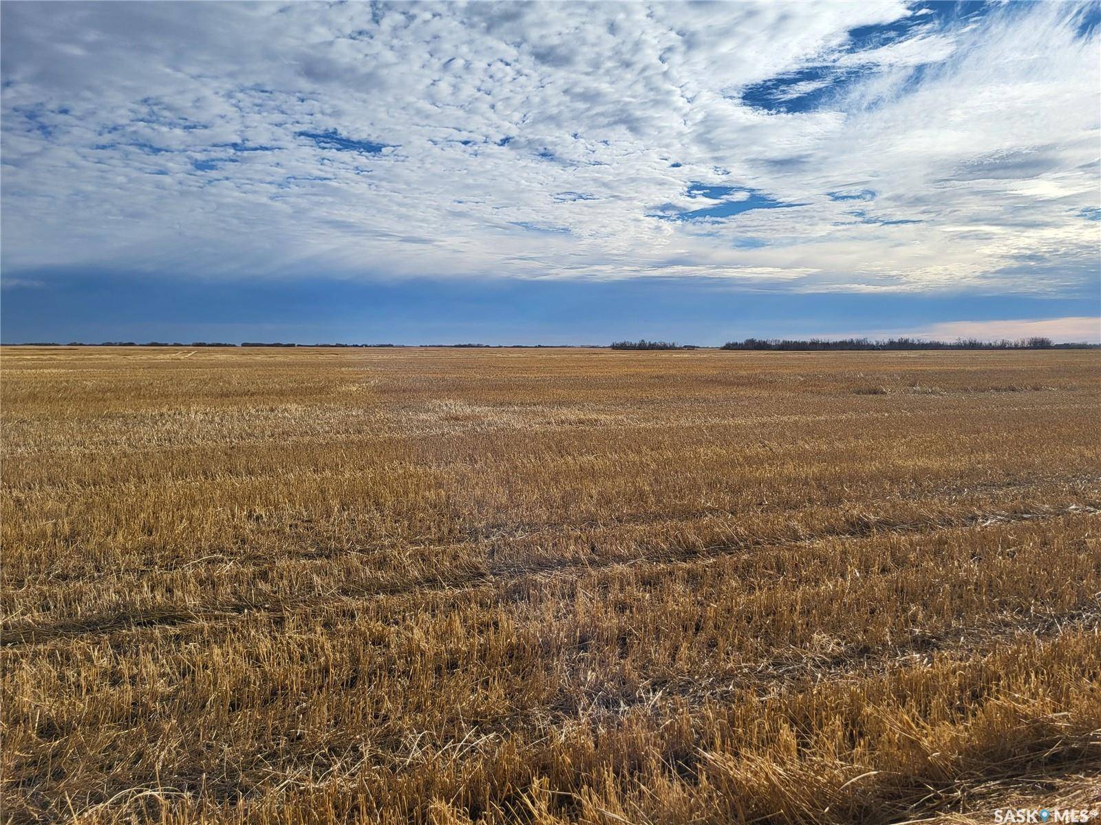 Corman Park Rm No. 344, SK S0K 2L0,Rural Address