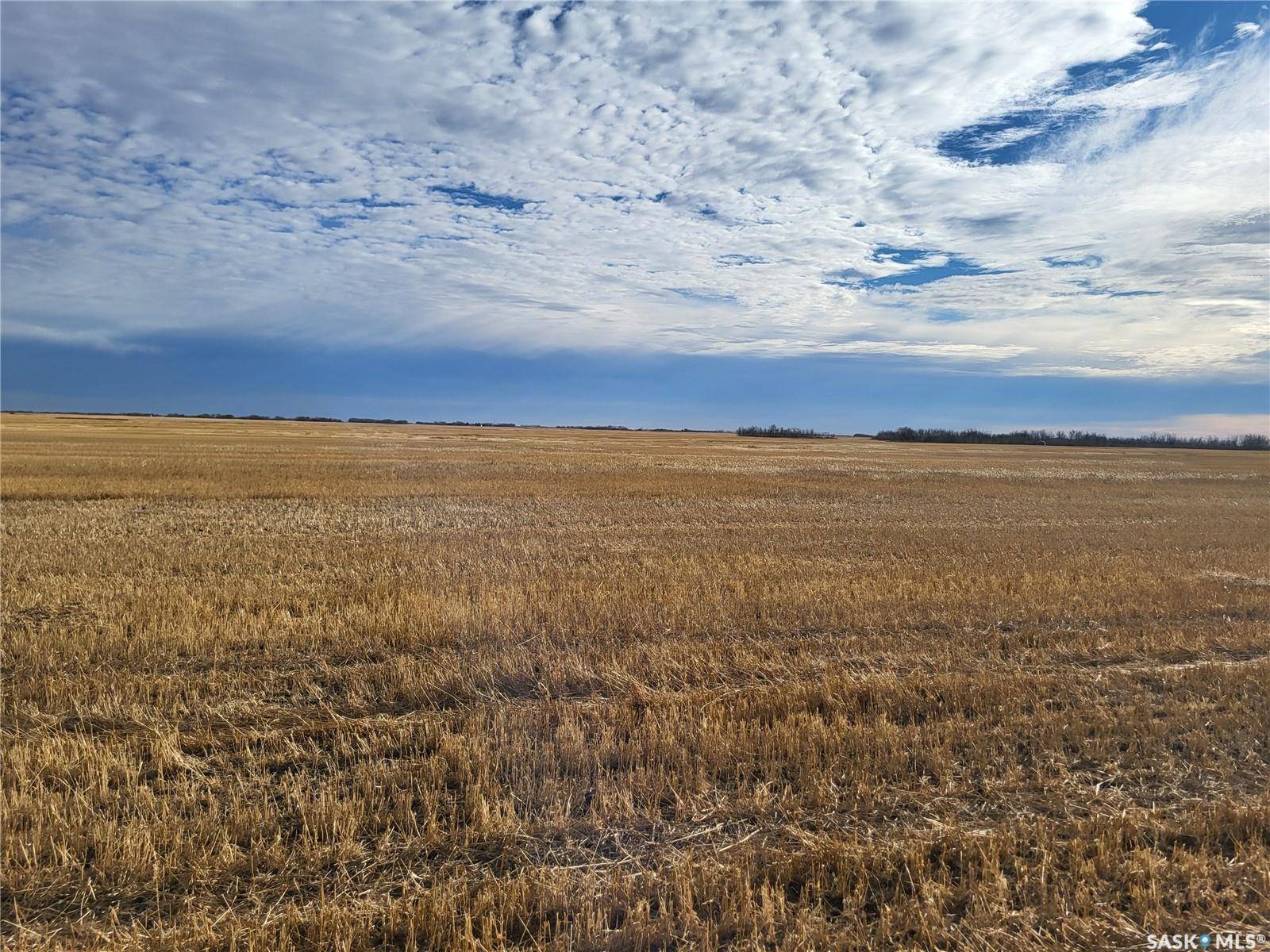 Corman Park Rm No. 344, SK S0K 2L0,Rural Address