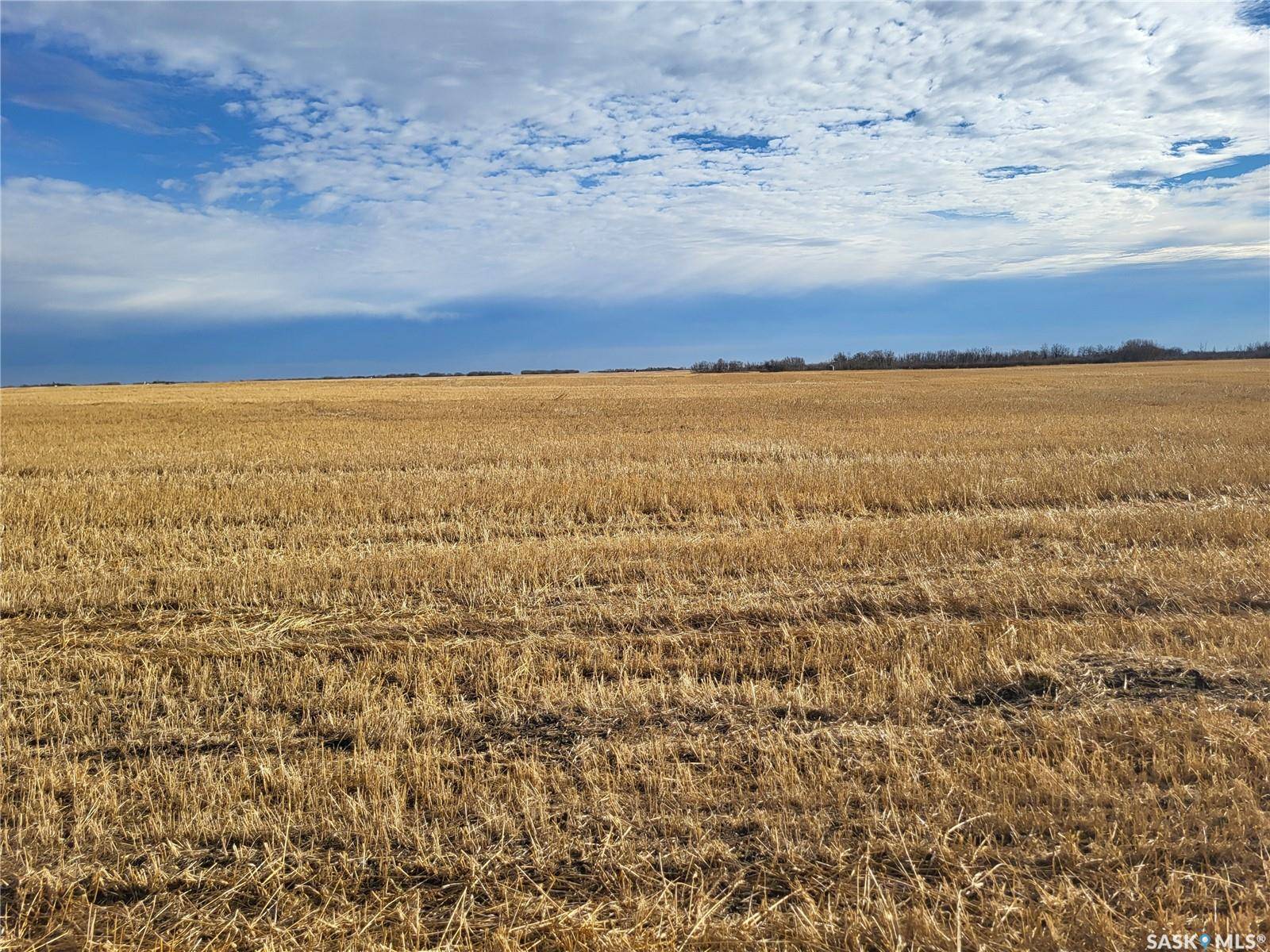 Corman Park Rm No. 344, SK S0K 2L0,Rural Address