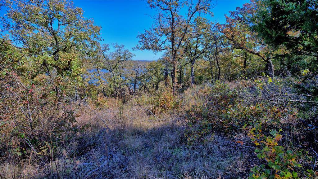 Bowie, TX 76230,Lot 18 Scenic Hill Drive