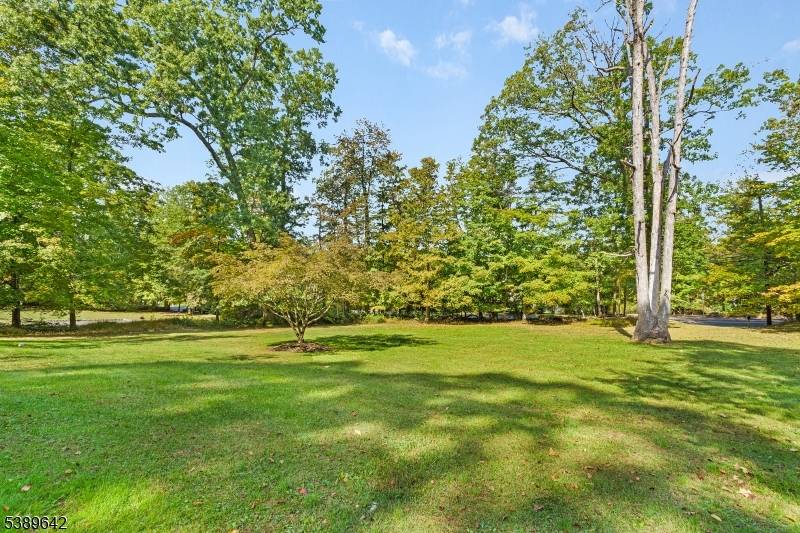 Warren Twp., NJ 07059,202 Mount Horeb Rd