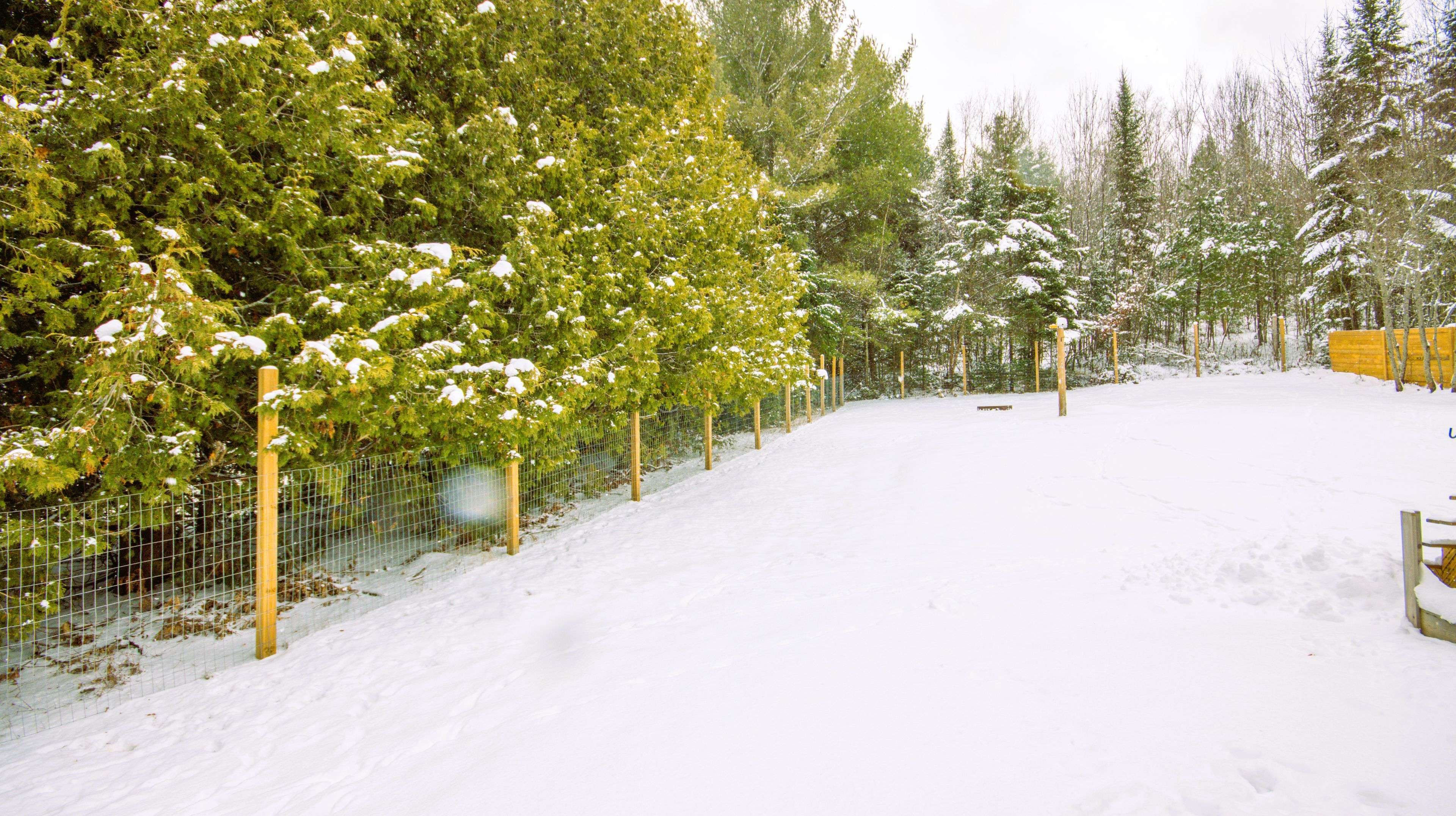 Madawaska Valley, ON K0J 1L0,39090 Combermere RD