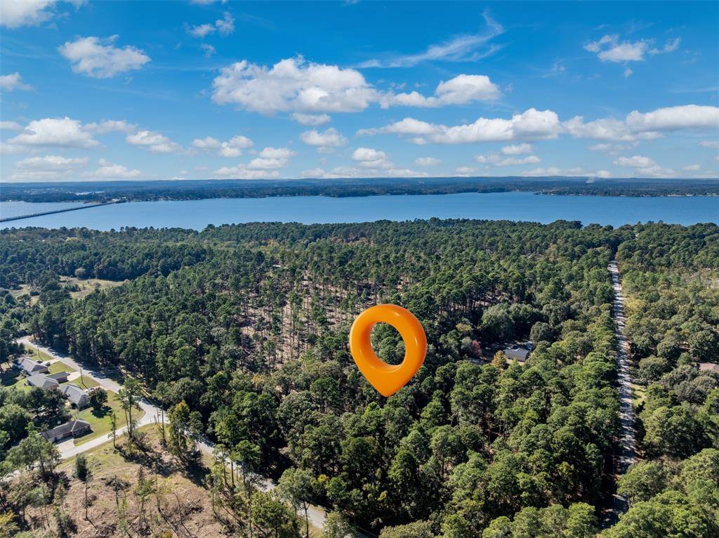 Flint, TX 75762,0 Pintail