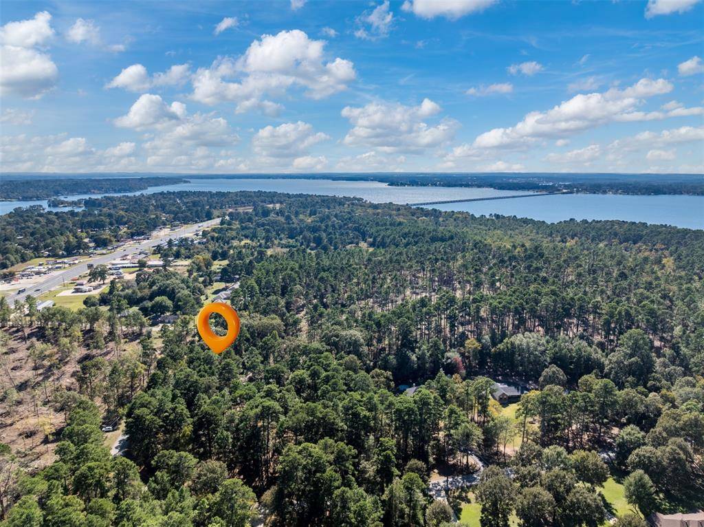 Flint, TX 75762,0 Pintail