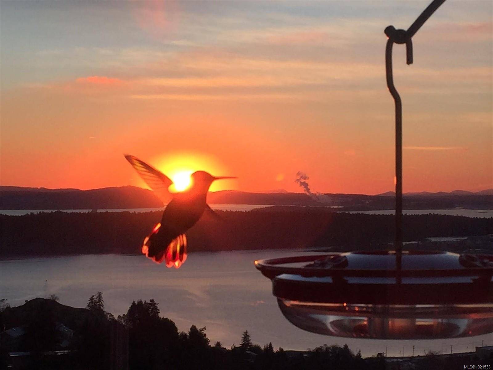 Nanaimo, BC V9T 5V2,3359 Edgewood Dr