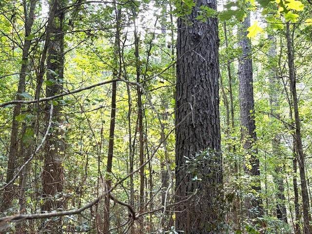 Haynesville, LA 71038,000 Highway 615 Highway