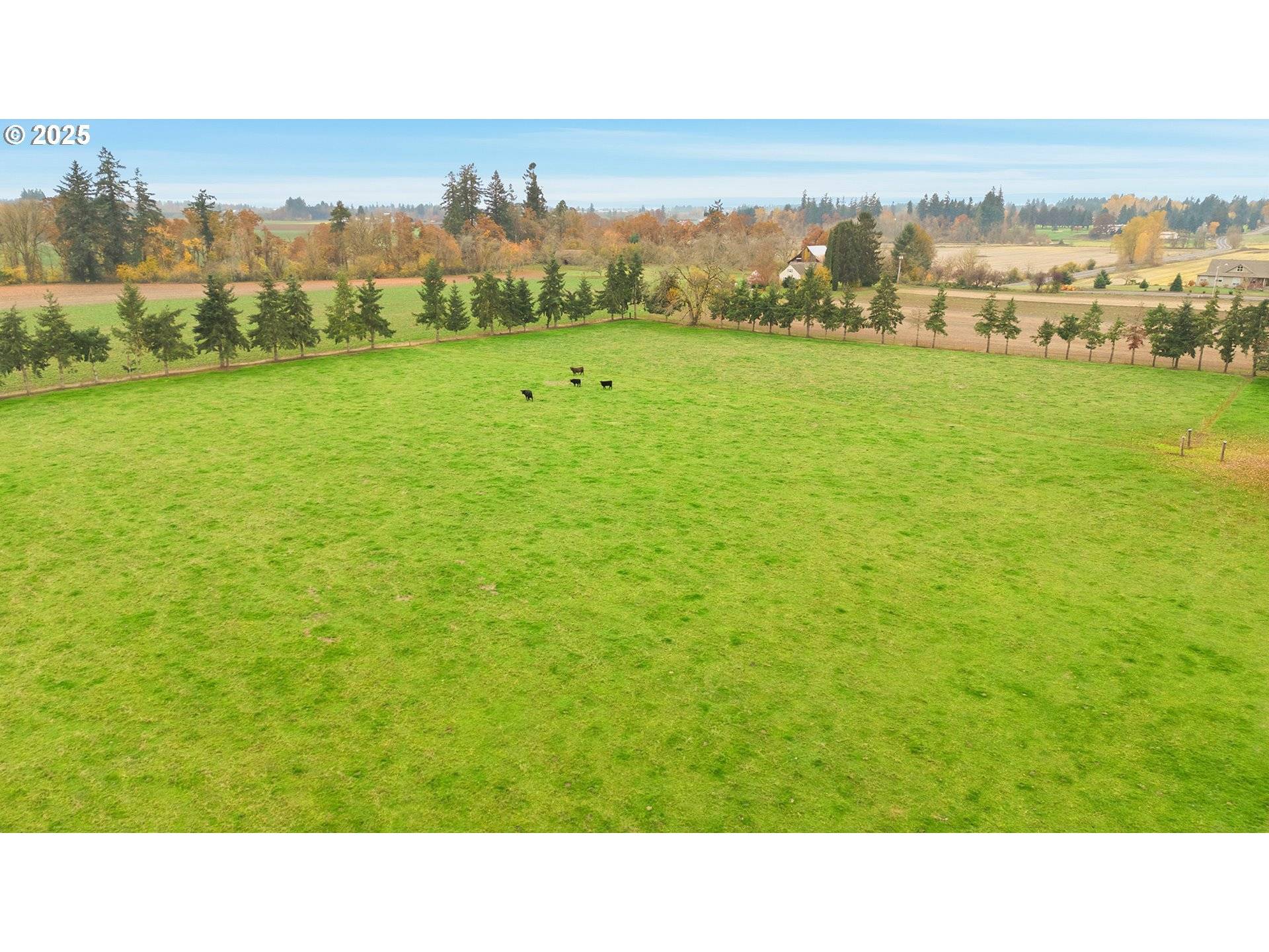 Mt Angel, OR 97362,12324 W CHURCH RD