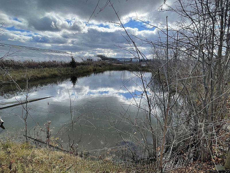 Lincoln, ON L0R 1B1,4390 South Service RD