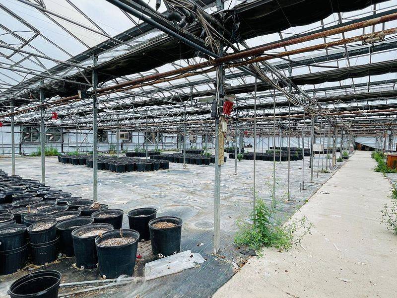 Lincoln, ON L0R 1B1,4390 South Service RD