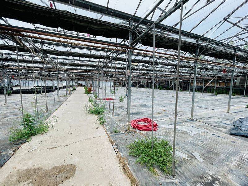 Lincoln, ON L0R 1B1,4390 South Service RD