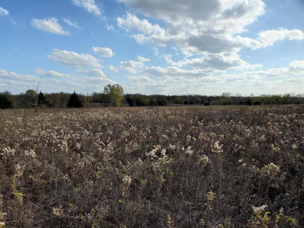 Pottsboro, TX 75076,TBD Hagerman