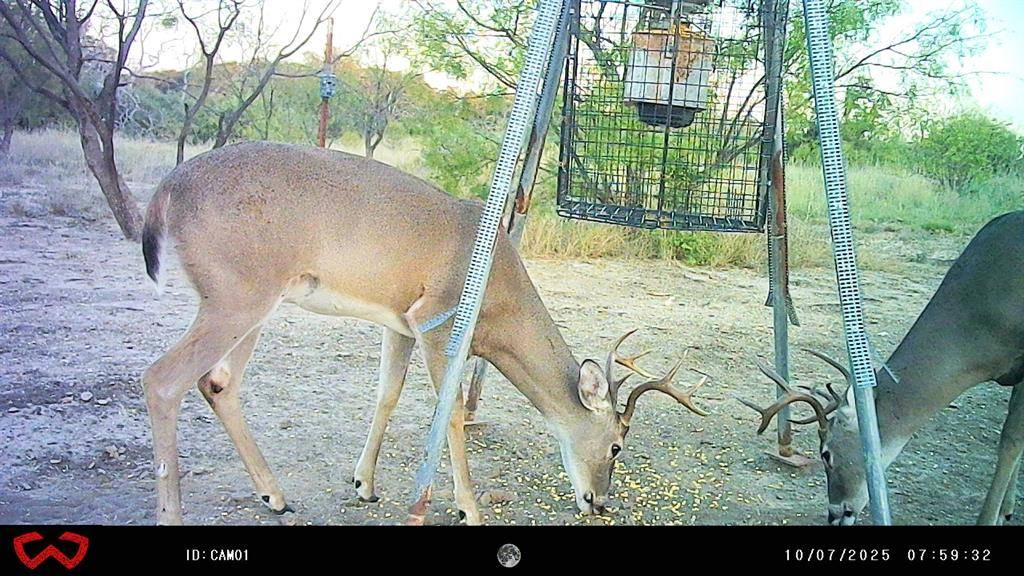 Brownwood, TX 76801,3995 FM 1176