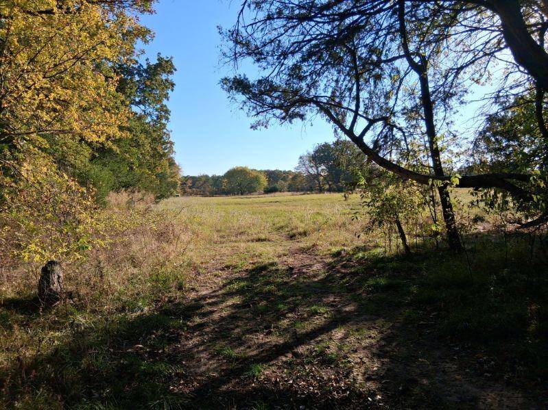 Ivanhoe, TX 75447,1071 CR 2205