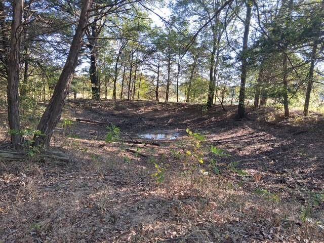 Ivanhoe, TX 75447,1071 CR 2205