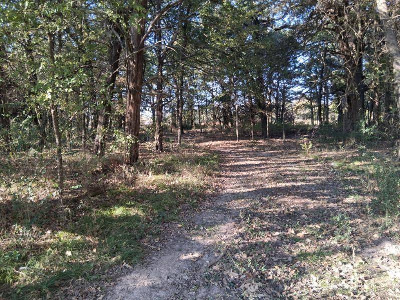 Ivanhoe, TX 75447,1071 CR 2205